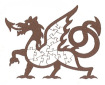 46. Welsh Dragon